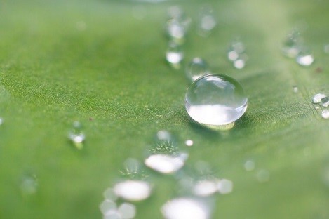 涂料疏水助剂